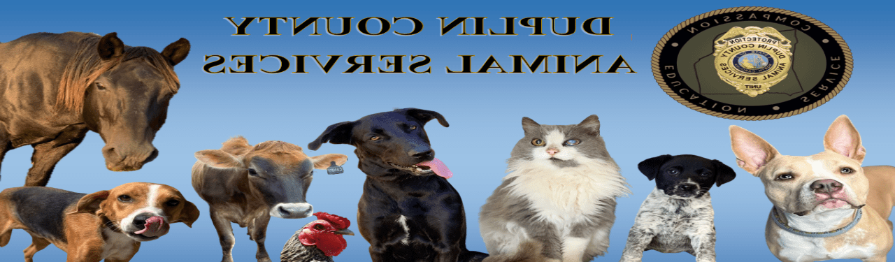 Duplin County Animal Services banner photo of cats, dogs, cows, horses and chickens.